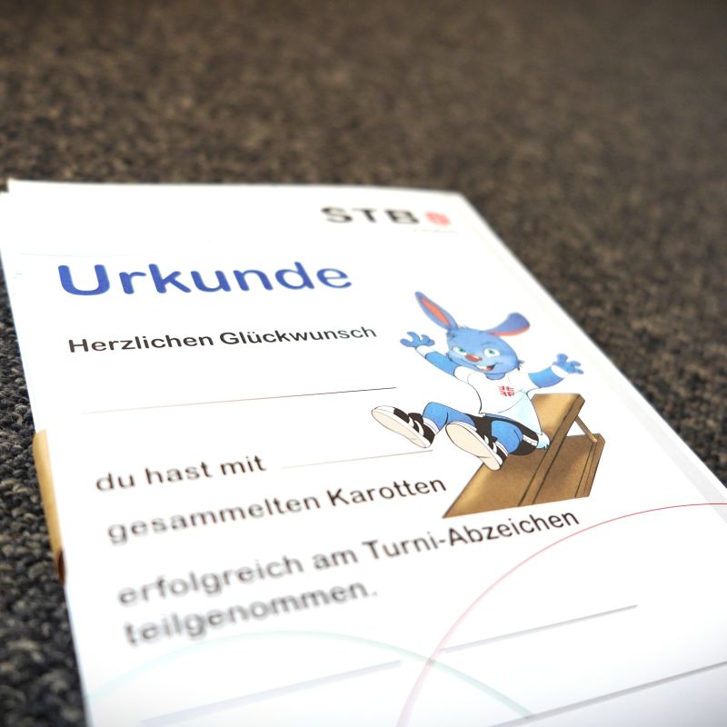 Turni-Abzeichen